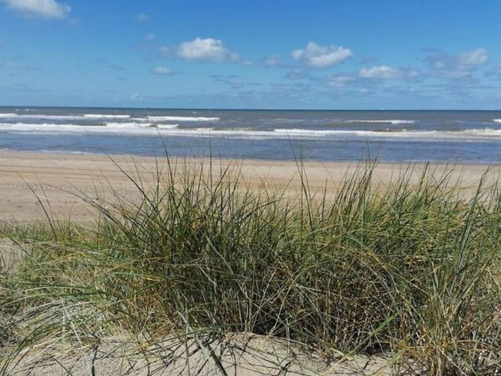 Bright Holiday Home In Noordwijk Near Sea Bagian luar foto